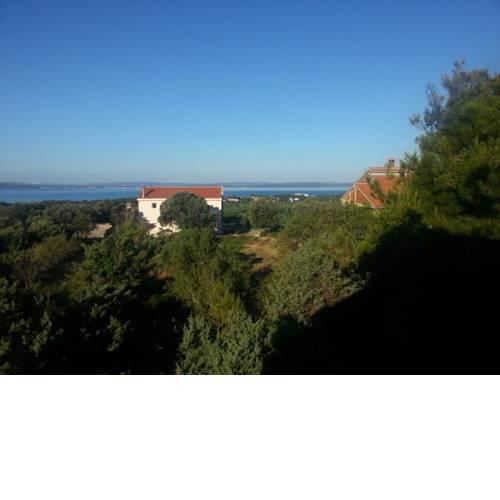 Apartmani Jelena