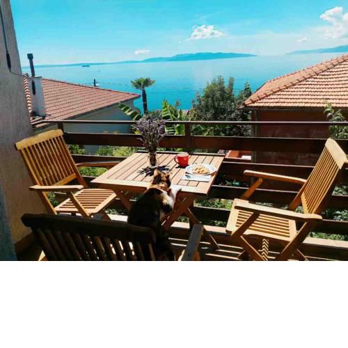 Apartmani Kantrida- Antea