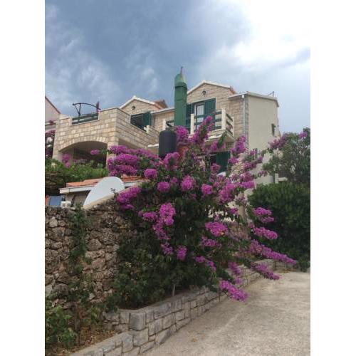 Apartmani Katarina