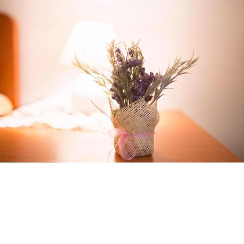 Apartmani Katija