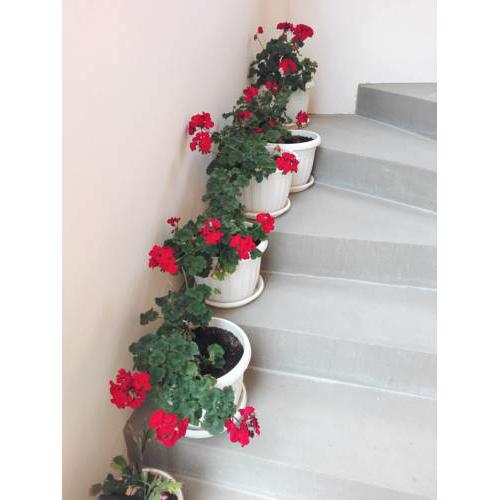 Apartmani Kulas