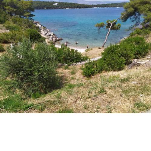 Apartments by the sea,quiet area,sea view,parking,BBQ,wifi
