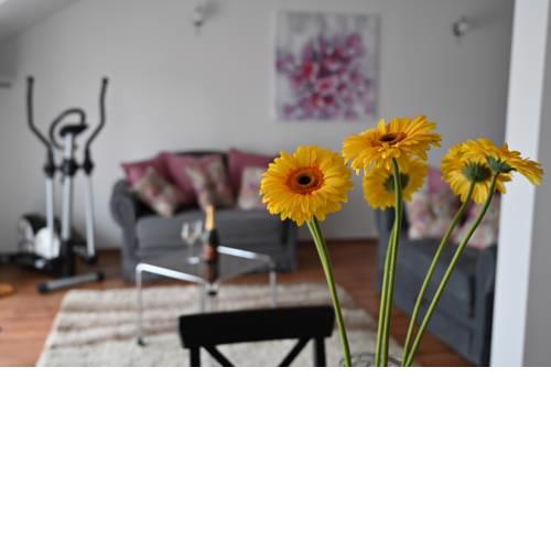 Apartmani Lucija