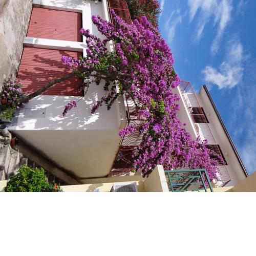 Apartmani Mark