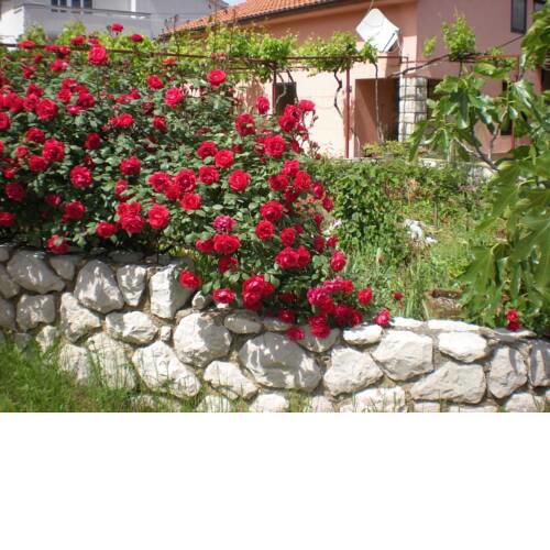Apartmani Mediteran
