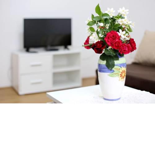 Apartmani Mlinar9 #1