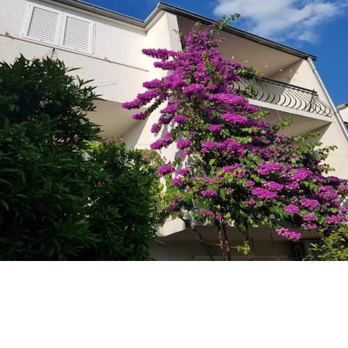 Apartmani Sonja