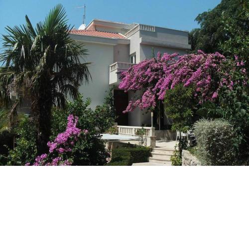 Apartmani Sulić