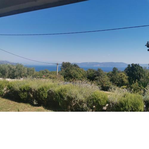 Apartmani Tia
