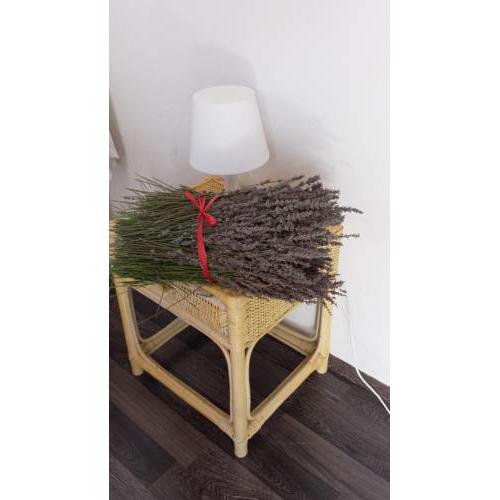 Apartmani Ursula
