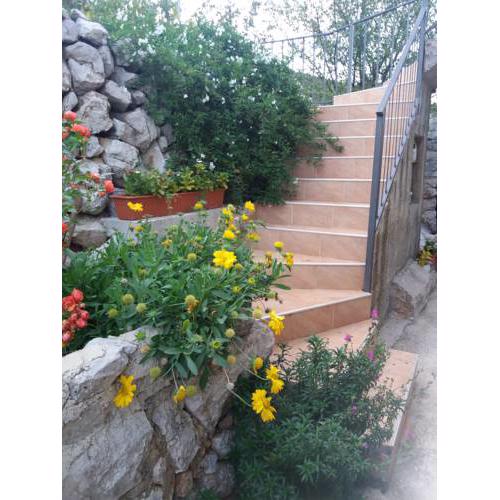 Apartmani Valun1