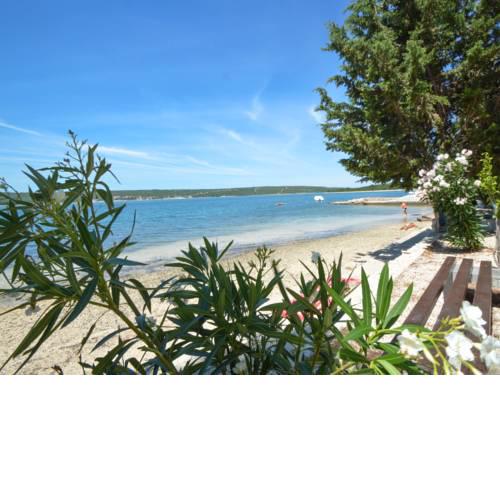 Apartment Amadea.1