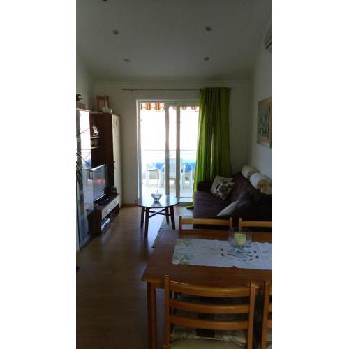 Apartment and room Gušćić