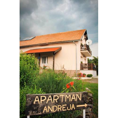 Apartment Andreja