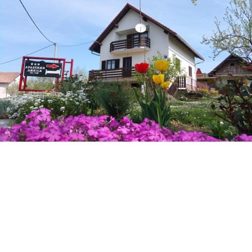 Apartment Ankica
