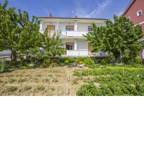 Apartment Ante 2917