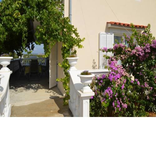 Apartment Ante 500