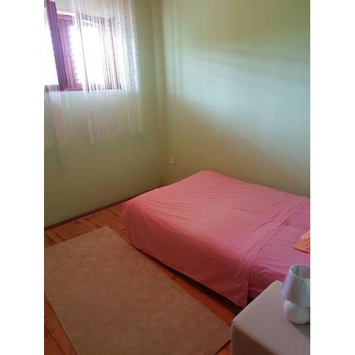 Apartment Ante