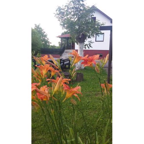 Guest house Antonela