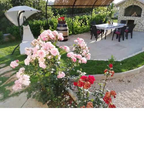 Apartment Antonia