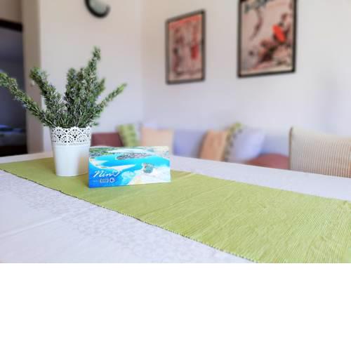 Apartment Anzotika