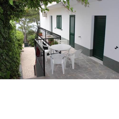 Apartment Arbanija 11041a