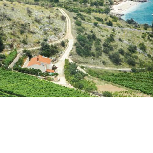 Apartment Bol 33