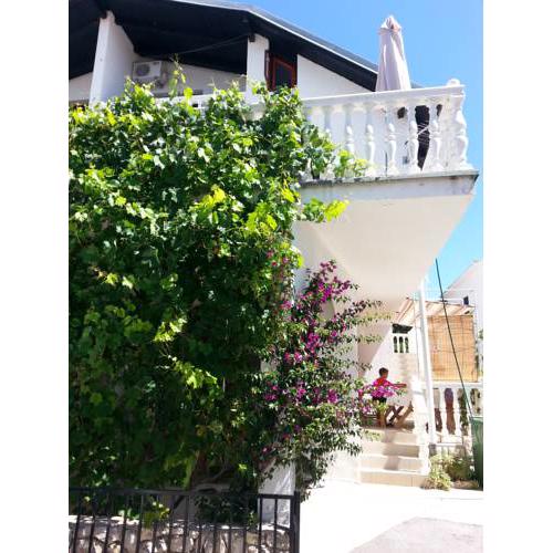 Apartment Borna