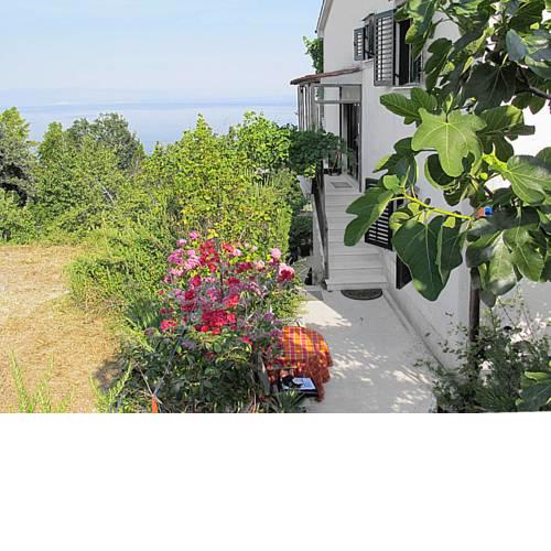 Apartment Branka (MOD206)