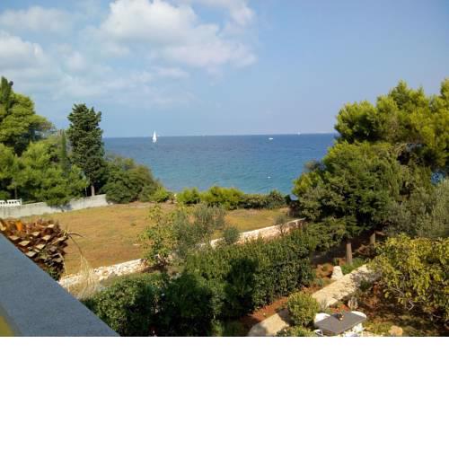 Apartment Branko