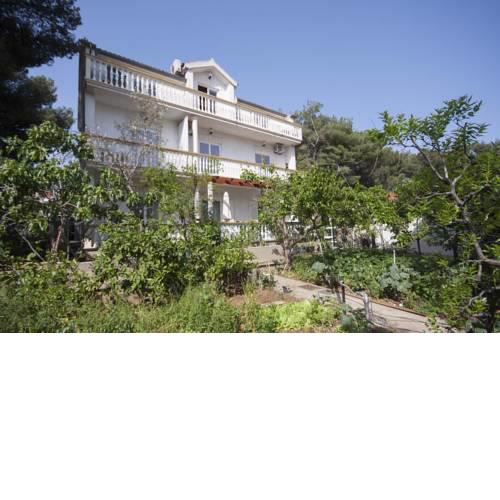 Apartment Brodarica 919a