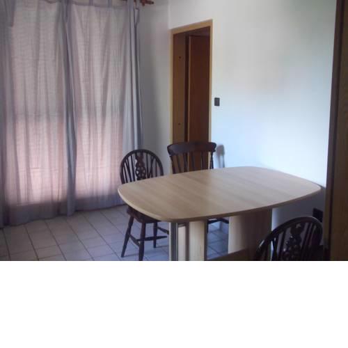 Apartment Camelia