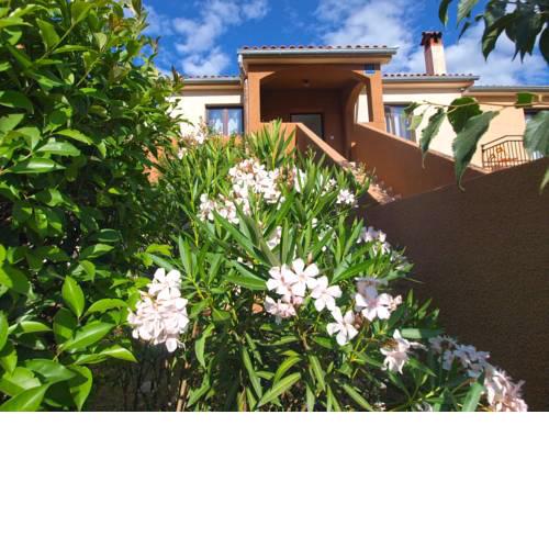 Apartment Ceda 415