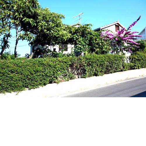 Apartment Damjanovic