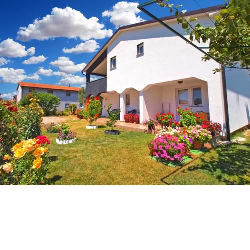 Apartment Darko 1439