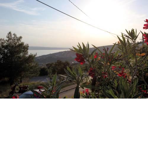 Apartment Djurdjica