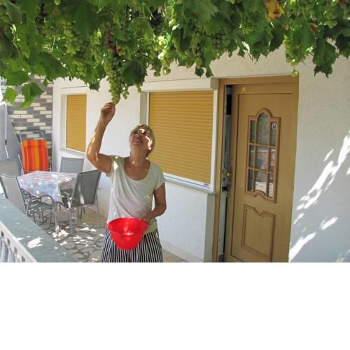Apartment Dramalj (3322)