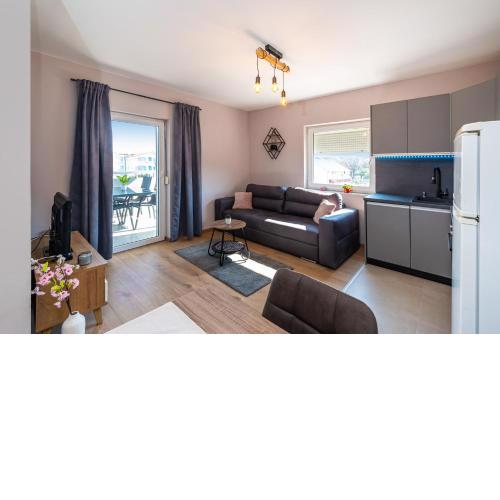 Apartment Drazice