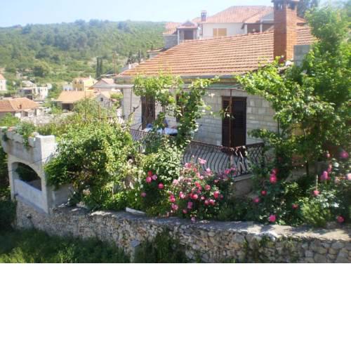 Apartment Fani 1