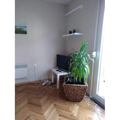 Apartment five minutes from Pula city centre