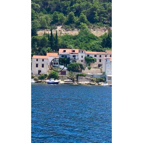 Apartment Forte