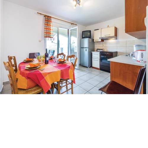 Apartment Franje Rackoga VI