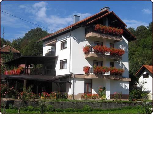 Apartment Frankopan