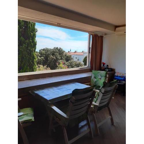 Apartment Gajac A44