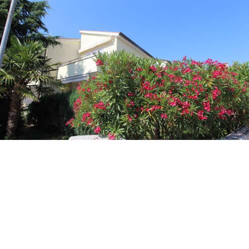 Apartment Grahovac 4