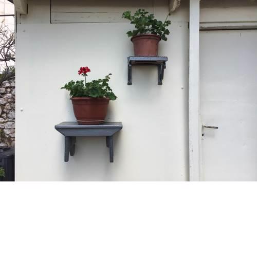 Apartment Grazioso