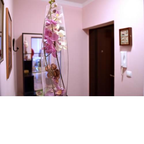 Apartment Gubec