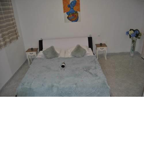 Apartment Hedonist