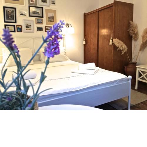 Apartment Helio Rovinj