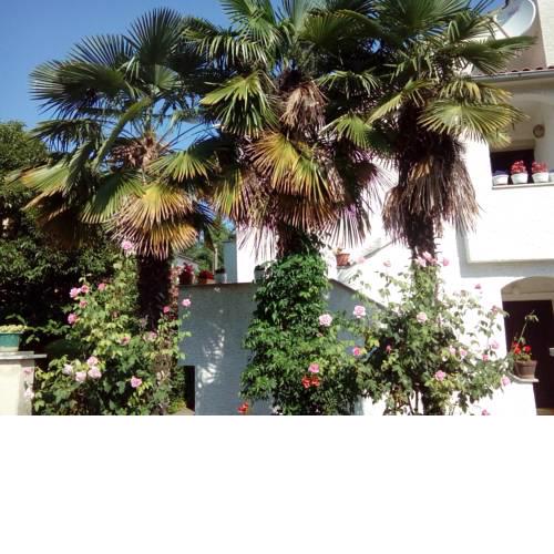 Apartment Hrastic